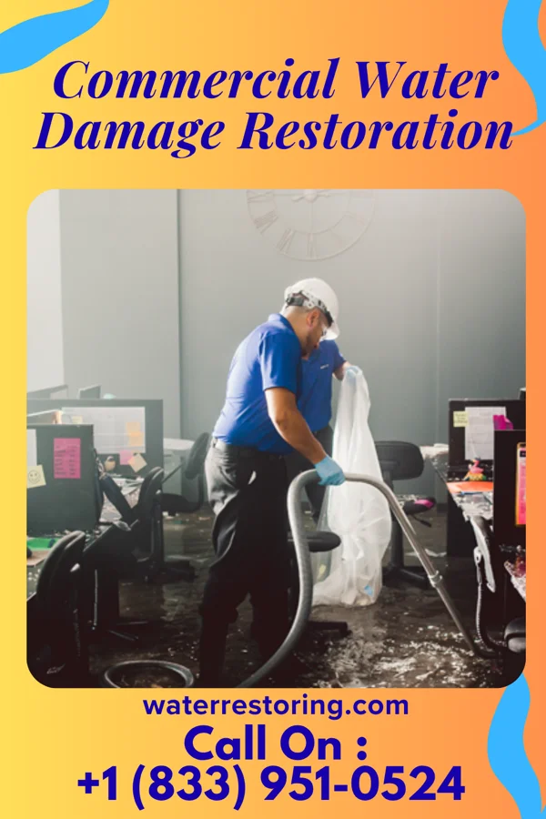 Commercial Water Damage Restoration in Alta Vista, KS