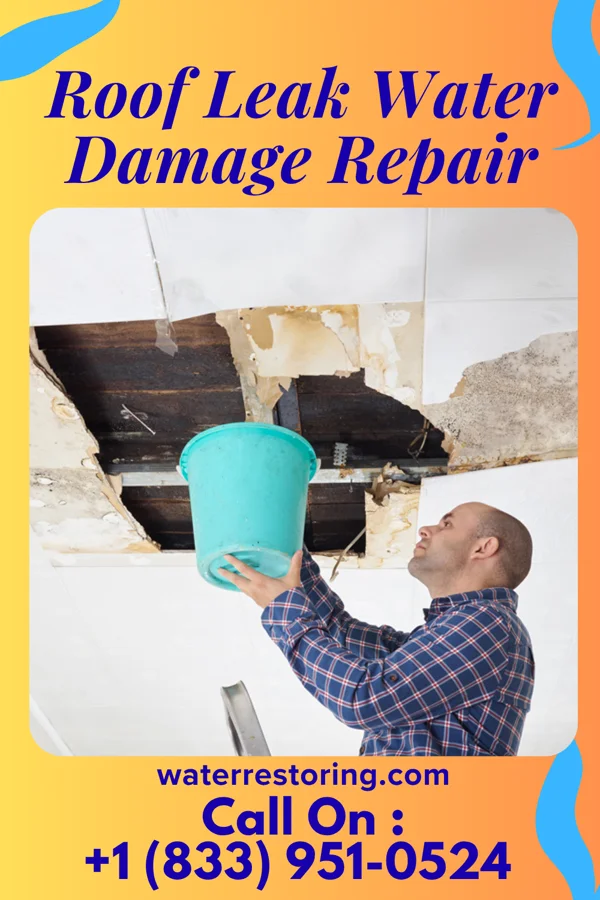 Roof Leak Water Damage Repair in Alta Vista, KS